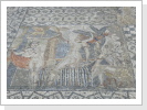 Volubilis 2 Volubilis 2