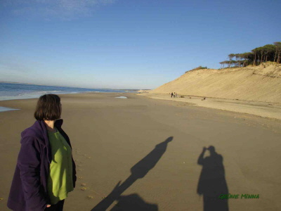 Dune Pilat