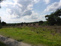 Der Berg in sicht